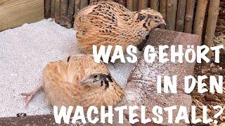 Was gehört in den Wachtelstall? | Wachteln für Anfänger | #wachteln