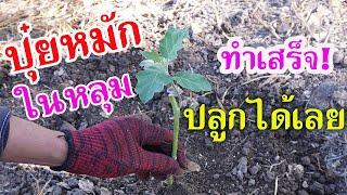 ปุ๋ยหมักในหลุม ไม่ต้องรอ! ทำเสร็จ! ปลูกได้เลย