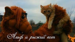 Альф и рыжий кот