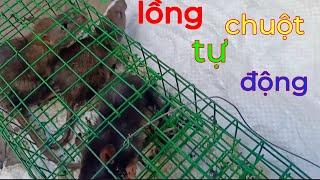 Lồng bẫy chuột tự động này bắt tất cả chuột trong nhà bạn , không còn bóng dáng chúng nữa..