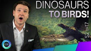 Dinosaurs to Birds | Genesis Science Report with David Rives | S02 Ep. 17