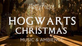 Christmas at Hogwarts | Harry Potter Hogwarts Legacy Music and Ambience