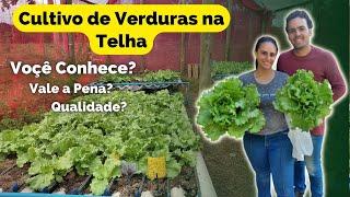 Plantio de Verduras na Telha. Sítio Raizes