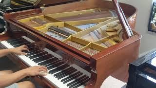 Autunm Leaves Arranged and Performed By Piano Mill's RAHT on a beautiful Schimmel Baby Grand Piano