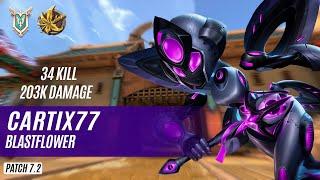 34 KILL 203K DAMAGE Cartix77 WILLO PALADINS COMPETITIVE (MASTER) BLASTFLOWER