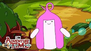 PB's Origin | Adventure Time | Cartoon Network