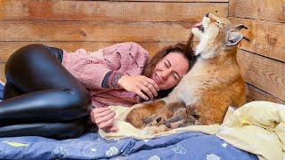LYNX UMKA WASHES ME WITH KITTENS / Relax with lynxes