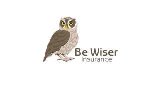 Be Wiser Radio Ad Spring 2014