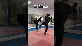 What is the name of this martial art? #taekwondo #wingchun #karate #mma