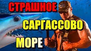 СТРАШНОЕ САРГАССОВО МОРЕ!!! МОРЕ БЕЗ БЕРЕГОВ!! #море #океан