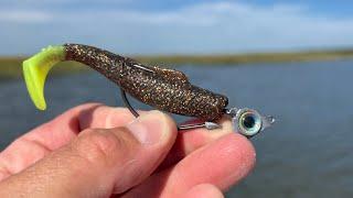 Releasing the TASTIEST Inshore Fish!…