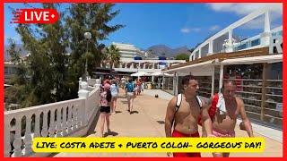 LIVE: BEAUTIFUL in Costa Adeje! Fanabe Beach & Puerto Colon Tenerife ️ Canary Islands