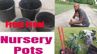 Free Free Nursery Pots/ Where To Find/ 17 & 30 Gallons