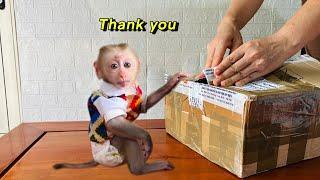 baby Monkey Tina and her mother thanked their friend from England for the gift