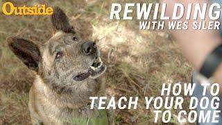 How to Teach Your Dog to Come | Outside