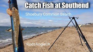 Catch Fish at Southend: SHOEBURY COMMON BEACH