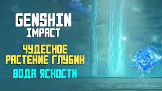 ЧУДЕСНОЕ РАСТЕНИЕ ГЛУБИН | ГДЕ НАЙТИ ВОДА ЯСНОСТИ | GENSHIN IMPACT