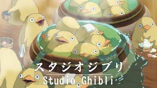 Best Relaxing Piano Studio Ghibli Complete Collection  Playlist for study, working, relax & travel