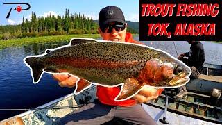 Trout Fishing Tok - Alaska