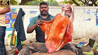 KASIMEDU  SPEED SELVAM | INTERESTING | BIG SQUID  CUTTING | 4K VIDEO | IN KASIMEDU | FF CUTTING