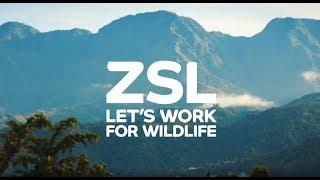 ZSL’s For People, For Wildlife appeal