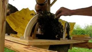 Sun Hive (Haengekorb) - opening a young bee colony