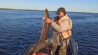 Ловля щуки с лодки в отвес. (шаромыга).