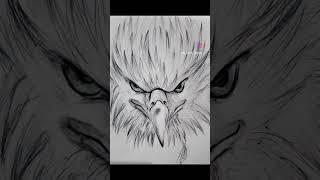 (Eagle's eye) #art #artist #artwork #sketch #sketching #sketches #eagles ).