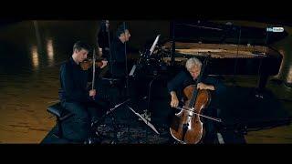 VIENNA PIANO TRIO - J. Haydn, Piano Trio No.  44 in E Major, Hob  XV No  28 - SynchronStageVienna