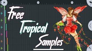 Free Tropical House Samples For FL Studio Mobile