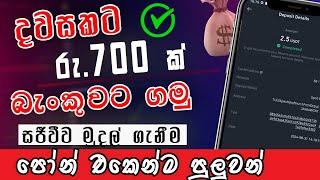 Earn money online sinhala 2024|දවසකට රු.700 බැංකුවටම||withdraw |techtube