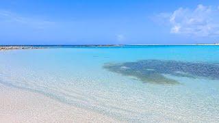 The Most Beautiful Beach in Aruba