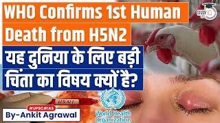 Another Bird Flu Variant Reaches Humans: What To Know About H5N2? | UPSC