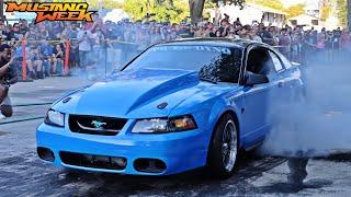 Mustang Week 2024 Burnout Contest Gets Shut Down + Mustangs Cruising Out