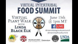 Virtual Plant Walk with Linda Black Elk