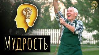 "Мудрость" стихотворение о жизни #стих #опыт #возраст #время #старость #молчание #силадуха #сила