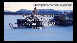 Анонс / СКОРО! Гусь-птеродактиль / Охота на гуся весна 2022 / Часть 3