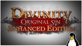 Divinity: Original Sin - Enhanced Edition - A Linux Game