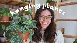 My Favorite Trailing Plants | favorite hanging plants