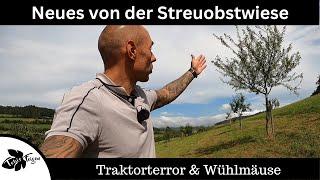 Neues von der Streuobstwiese | Traktorterror, Wühlmäuse und Co