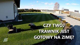 JAK PRZYGOTOWAĆ TRAWNIK DO ZIMY? (choroby trawnika, mączniak prawdziwy, rdza traw)