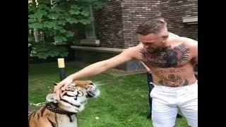 Conor McGregor strokes a tiger on trip to Russia