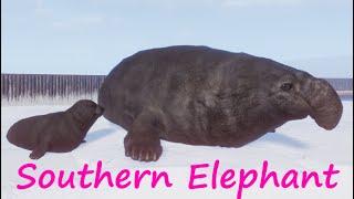 Southern Elephant Seal by Monsoon - Planet Zoo Mod