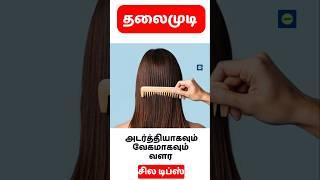 Reduce Hair Fall In Just 30 Days / Best Hair Growth Tips#shorts#haircare #hairgrowth #youtubeshorts