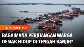 Tiga Tahun Demak Terendam Banjir Rob, Bagaimana Perjuangan Warga Hidup di Tengah Banjir? | Liputan 6