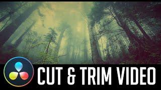 How to Trim and Cut Video (+Shortcuts) - Davinci Resolve 16 Tutorial