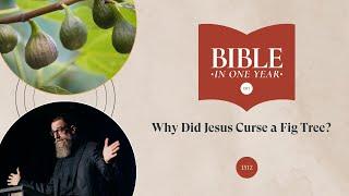 Why Did Jesus Curse a Fig Tree? - Mark 11