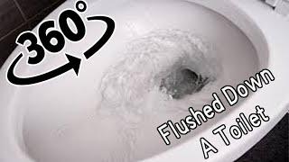 360° Video | Flushed Down A Toilet | Version 1 | VR 4K #toilet