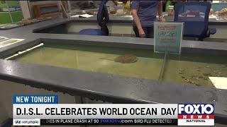 Dauphin Island Sea Lab celebrates World Ocean Day