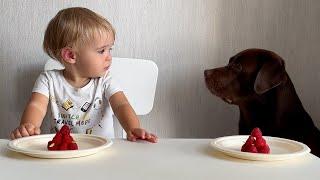 The FUNNIEST Talking Baby and Dog Moment Caught on Camera